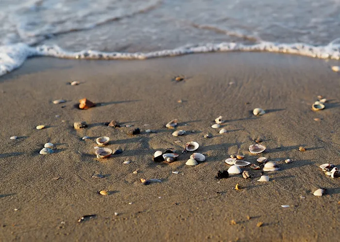 Апартаменты Comfy Flat For 6 Guests In Bibione-beahost *